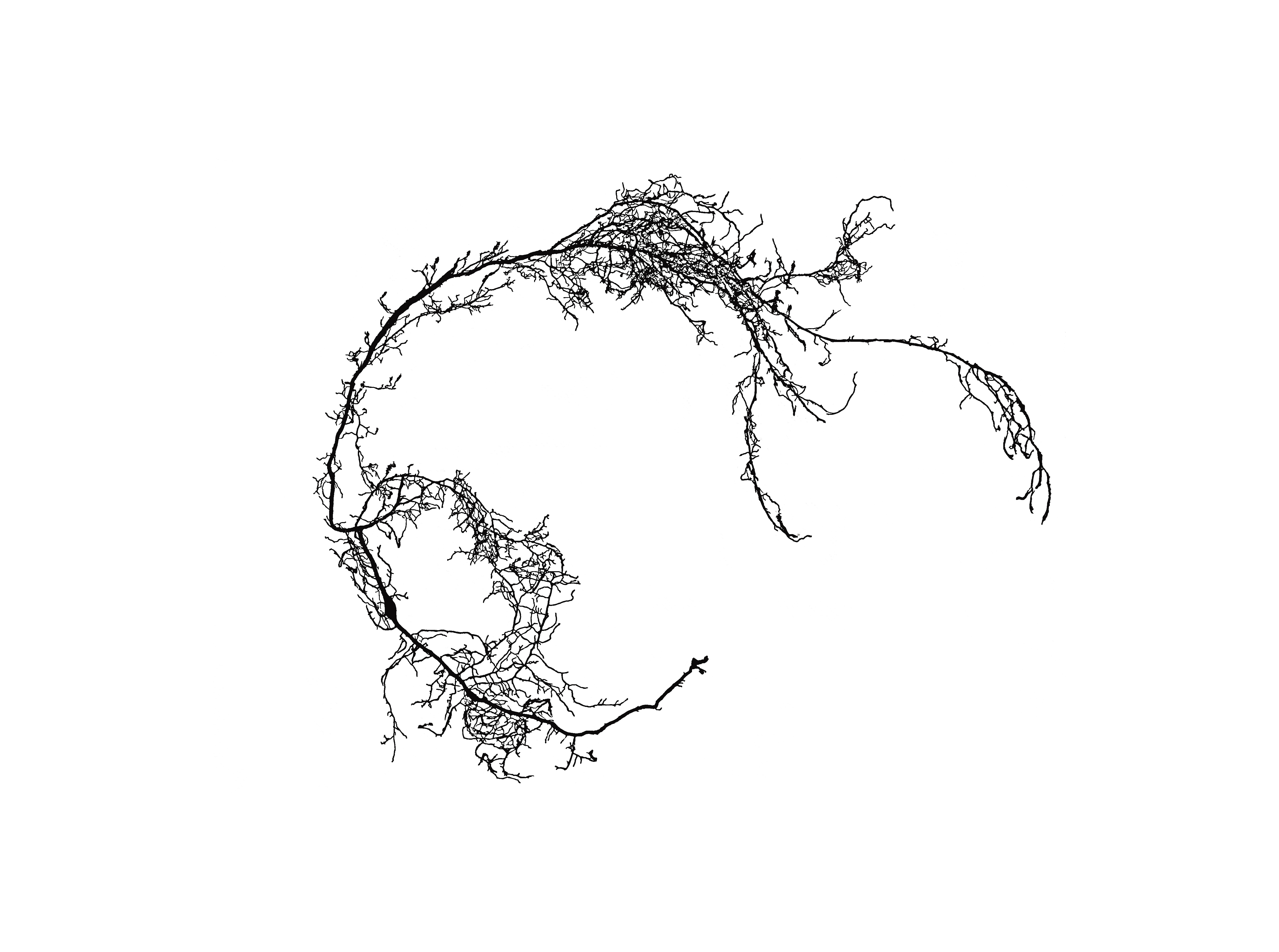 17214351299_d7028409a2_o